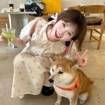 惩罚者